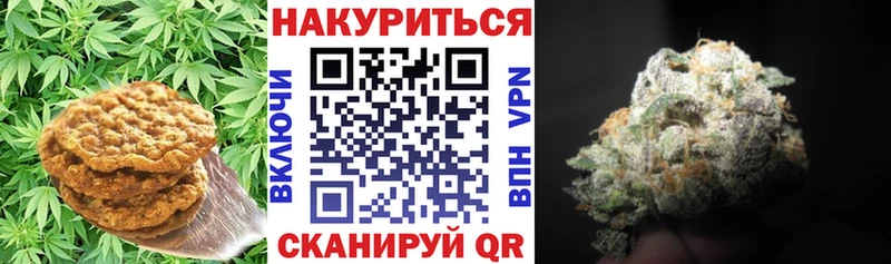 Canna-Cookies конопля  Куровское 