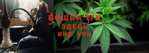 хмурый Белокуриха