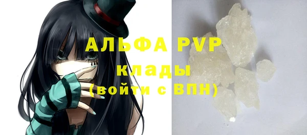 хмурый Белокуриха
