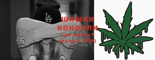 хмурый Белокуриха