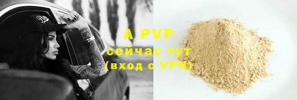хмурый Белокуриха