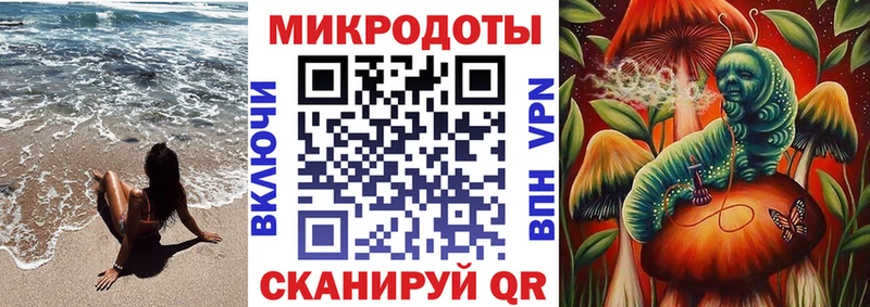 Псилоцибиновые грибы Cubensis  закладки  Куровское 
