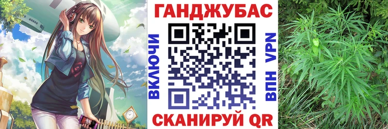 Бошки Шишки ГИДРОПОН OMG ТОР Куровское